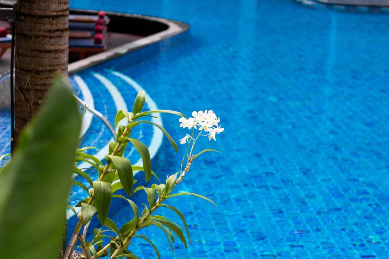 Отель Deevana Plaza Phuket - Sha Extra 4*